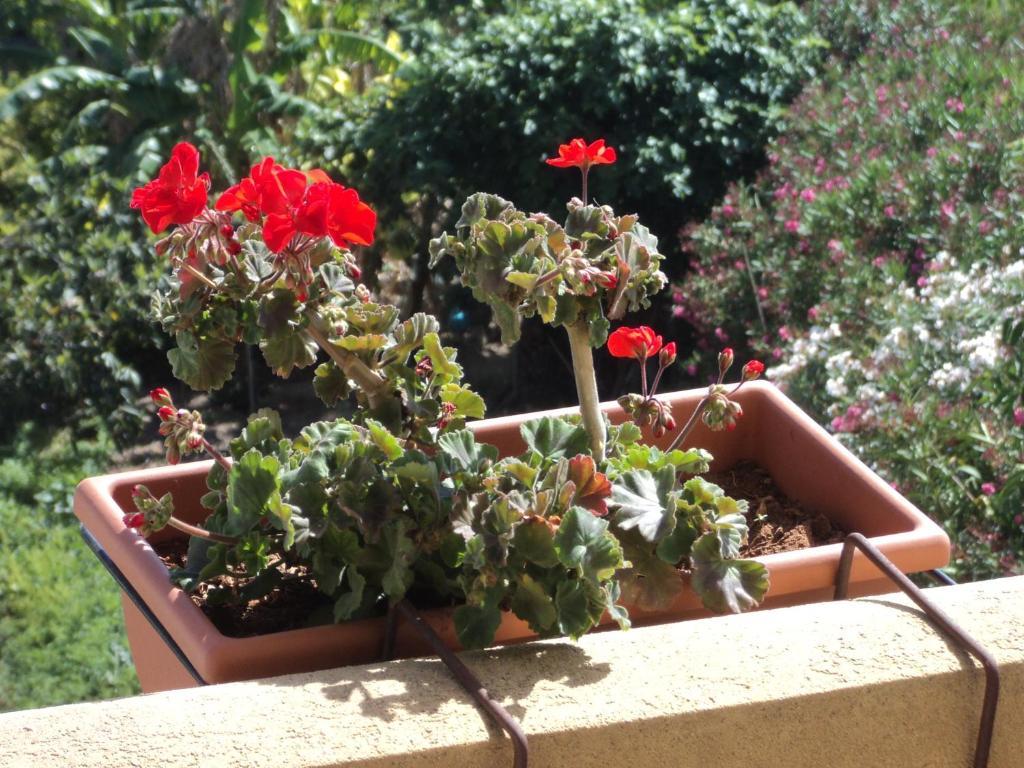 Bed & Breakfast Sbarco Dei 1000 3*